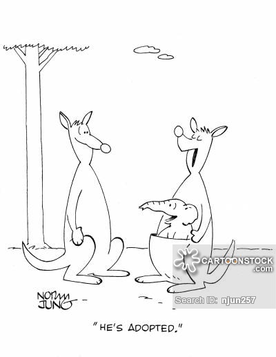 400x517 Kangaroo Cartoons And Comics