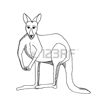 450x450 Hand Draw Kangaroo Style Sketch Tattoo On White Background Royalty