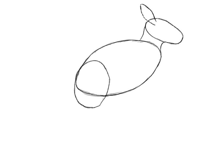 800x600 How To Draw A Kangaroo