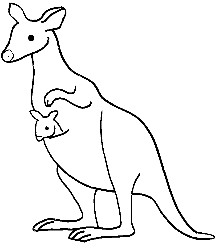 913x1030 Kangaroo Drawing