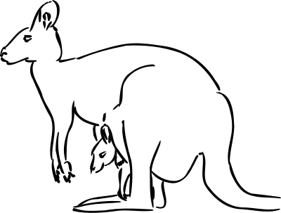 400x303 Kangaroo Sketch