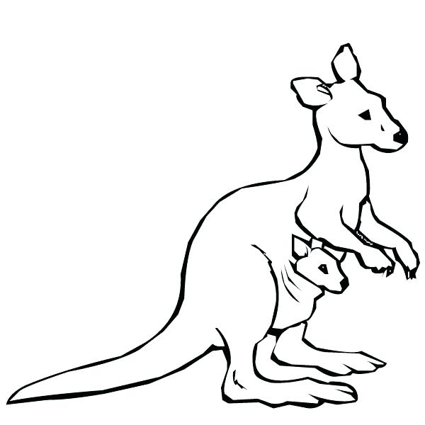 600x600 Baby Kangaroo Coloring Pages To Beatiful Draw Cute Drawing