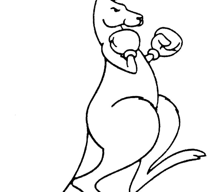 866x768 Download Coloring Pages Kangaroo Image To Animals Free Printable