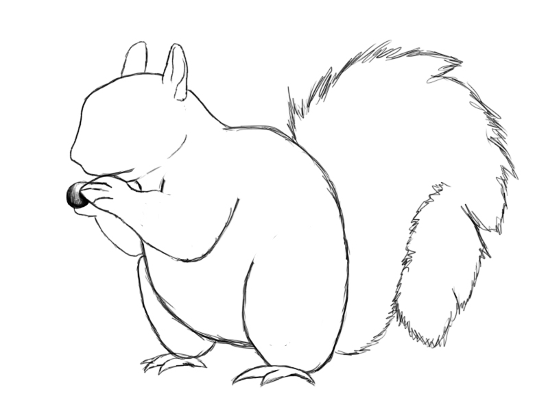 780x581 Drawn Squirrel Easy