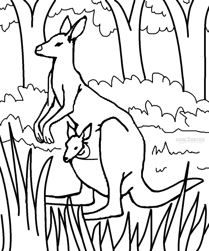850x1020 Kangaroo Coloring Pages Preschool To Cure Print Draw Printable