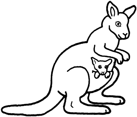 480x410 Kangaroo Holds Its Kid Safely Coloring Page Free Printable
