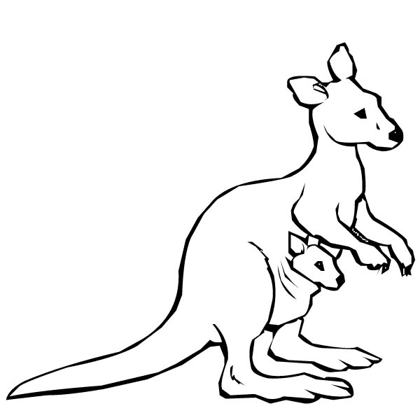 600x600 Printable Kangaroo