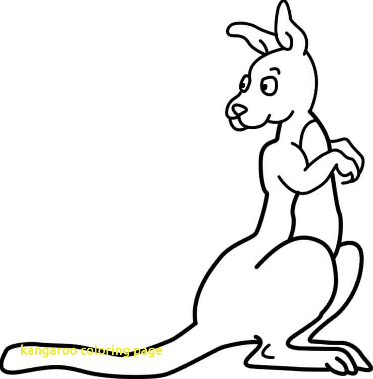 739x750 Kangaroo Coloring Page With Kangaroo Coloring Picture Coloring