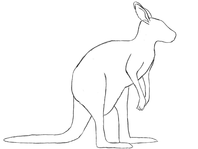 Kangaroo Drawing For Kids at GetDrawings | Free download