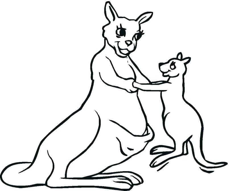 805x672 Trend Kangaroo Coloring Page Best Of Free Printable Pages For Kids
