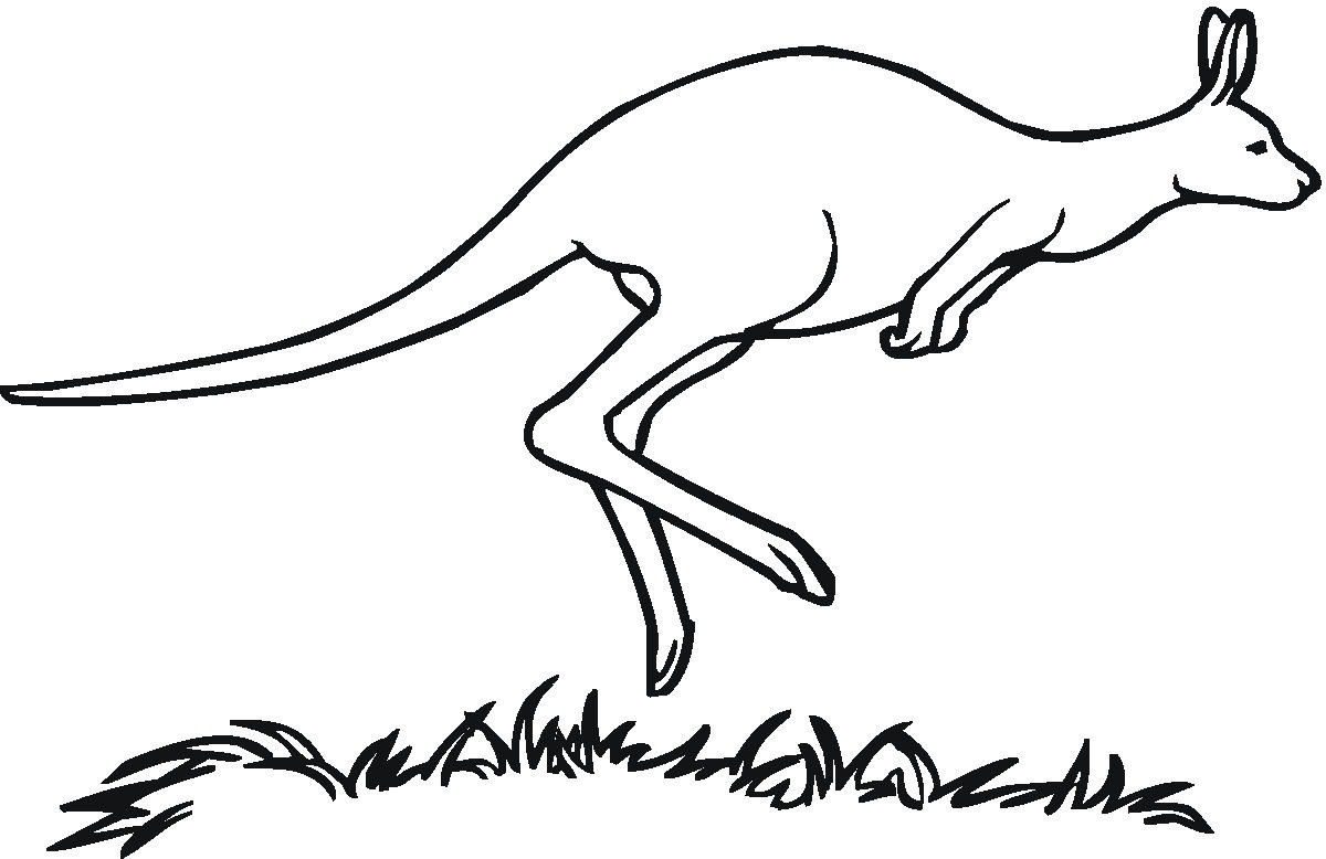 1200x778 Kangaroo Coloring Pages Coloring Page For Kids