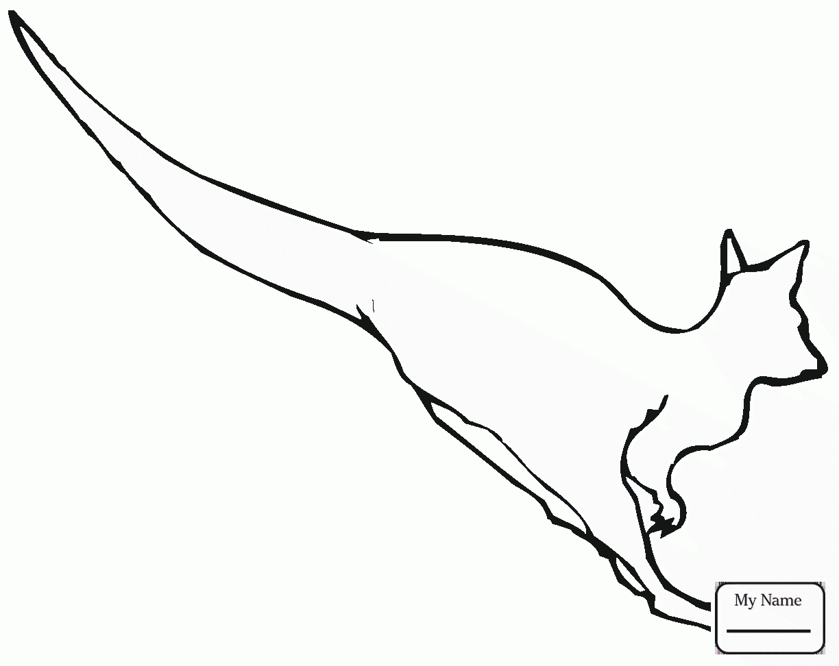 1224x972 Mammals Eastern Grey Kangaroo Kangaroos Coloring Pages For Kids