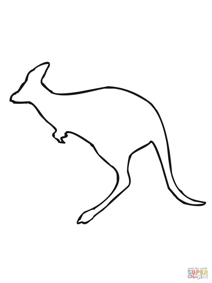 Kangaroo Outline Drawing at GetDrawings | Free download