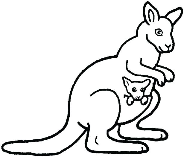 Kangaroo Outline Drawing at GetDrawings | Free download