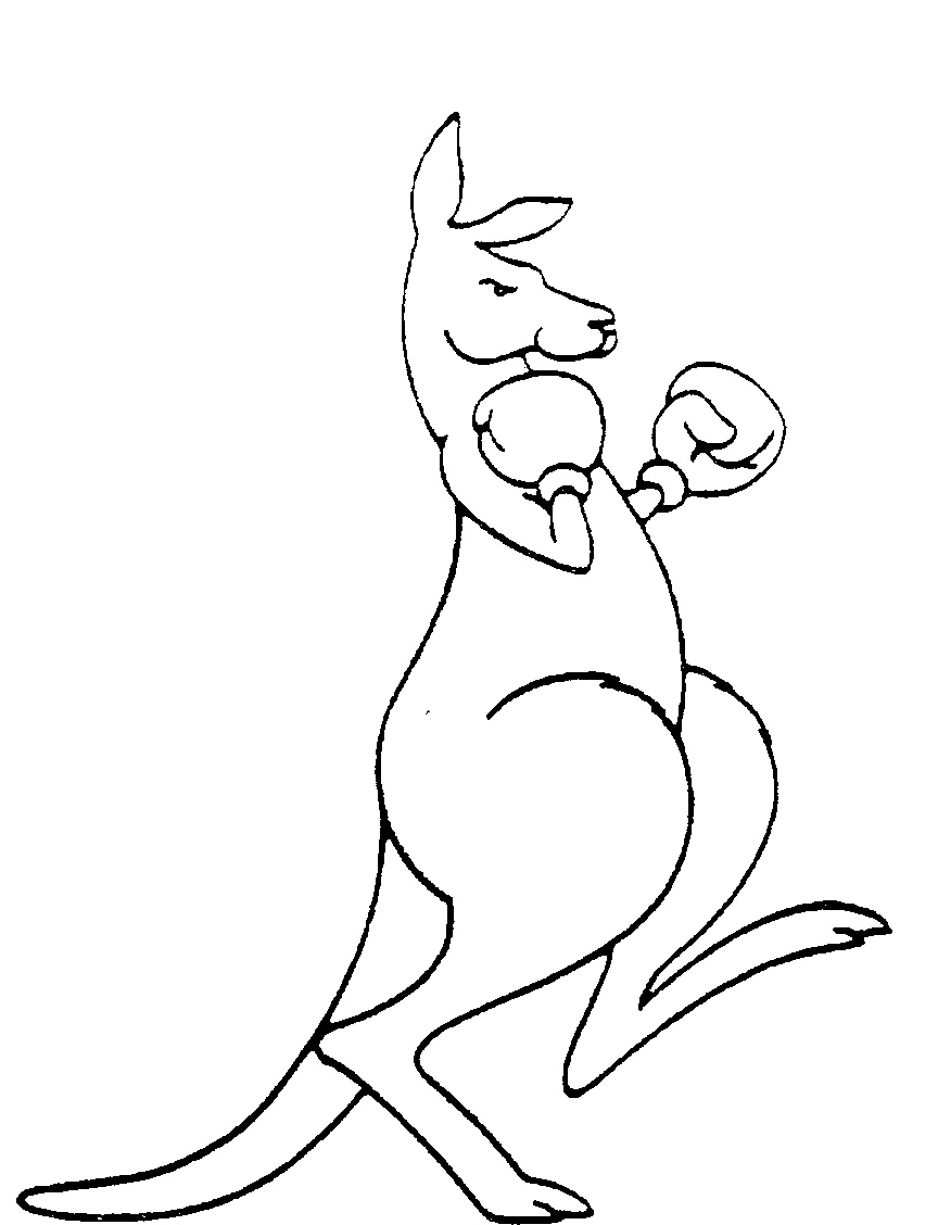 Kangaroo Outline Drawing at GetDrawings | Free download