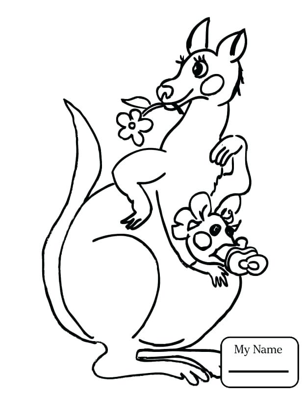 624x808 Kangaroo Rat Coloring Sheet Tree Pages Free Page Best Colori