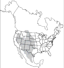 205x219 Kangaroo Rats