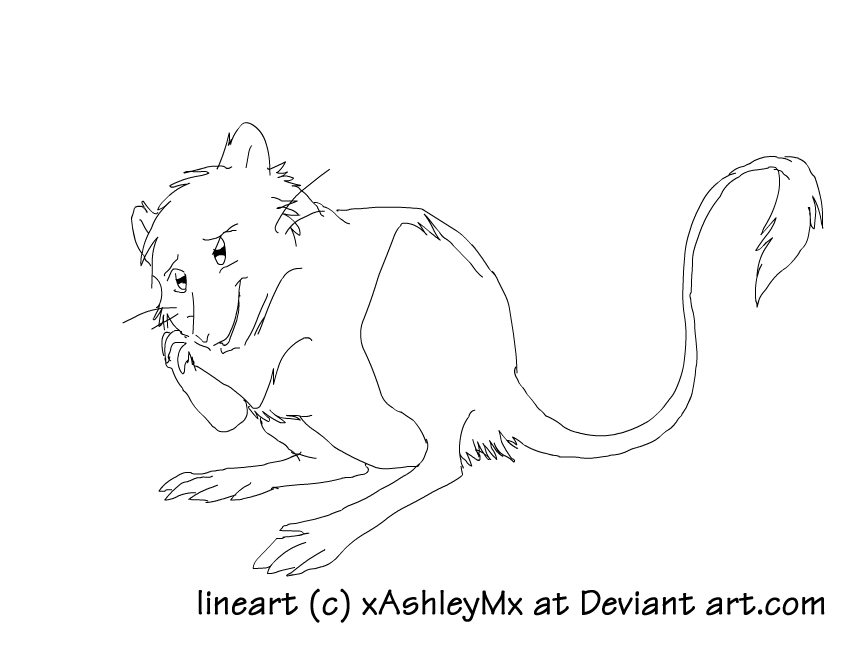 857x654 Kangaroo Rat Lineart By Thecynicalhound
