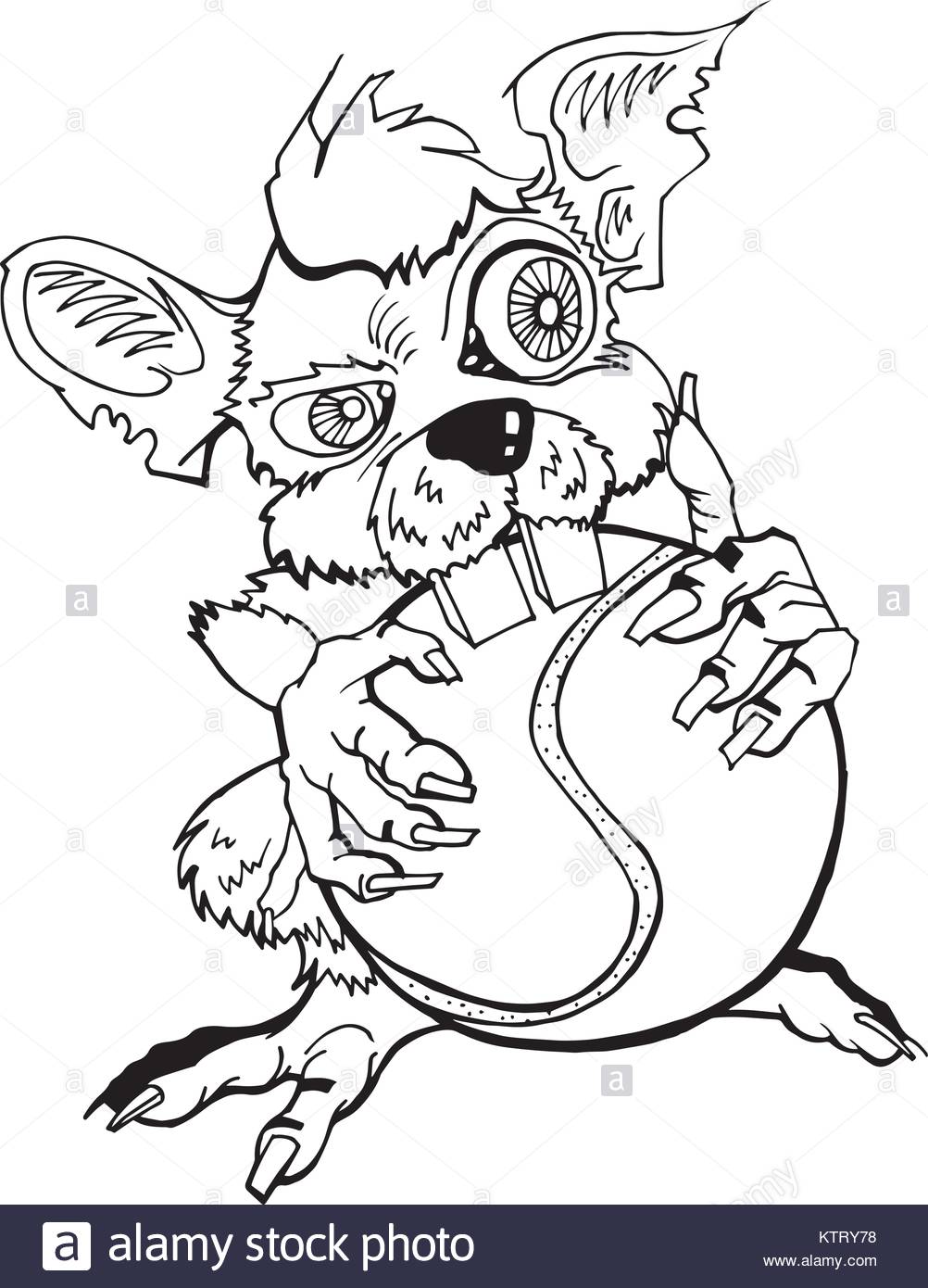 1002x1390 Rat Drawing Stock Photos Amp Rat Drawing Stock Images