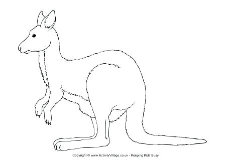 460x325 Kangaroo Coloring Page Brexitbook.club