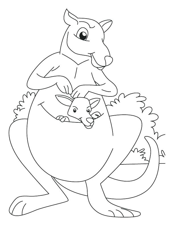 612x792 Kangaroo Coloring Pages