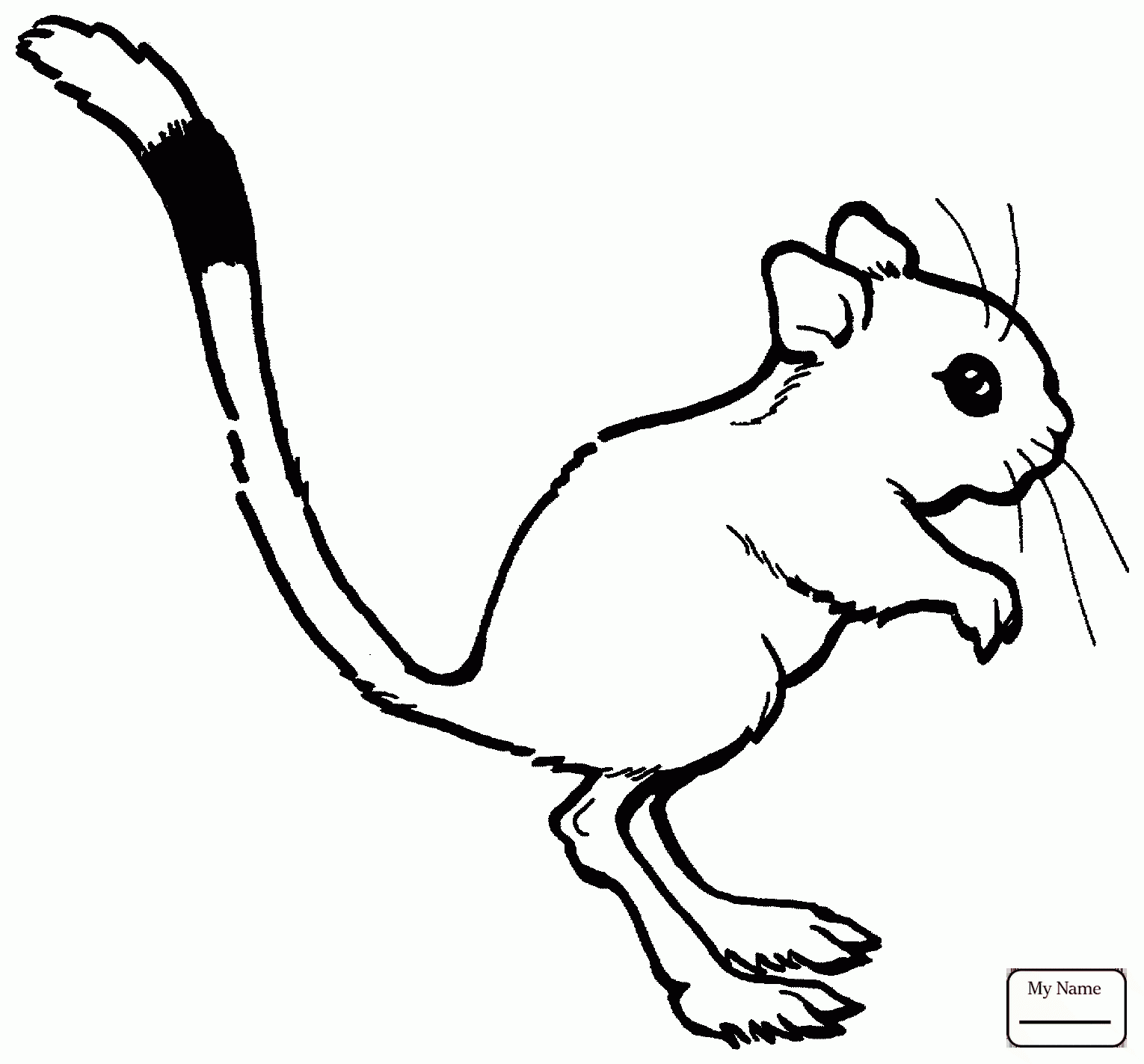 1530x1423 Mammals Rats Kangaroo Rat Rats Coloring Pages