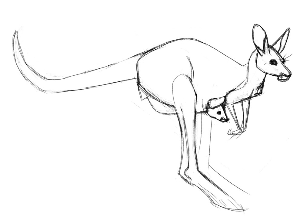 1000x737 Flat Cat Studio