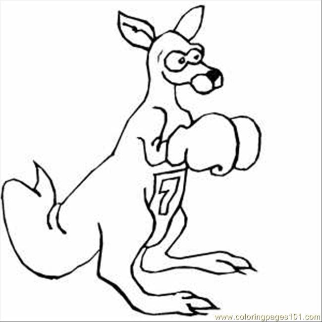 650x650 How To Draw A Boxing Kangaroo