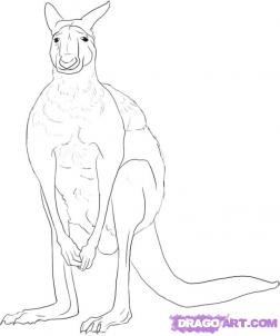 252x302 How Draw The Kangaroos Drawing Tutorials Amp Drawing Amp How