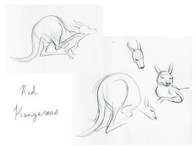 400x309 Animal Life Drawings Almontree