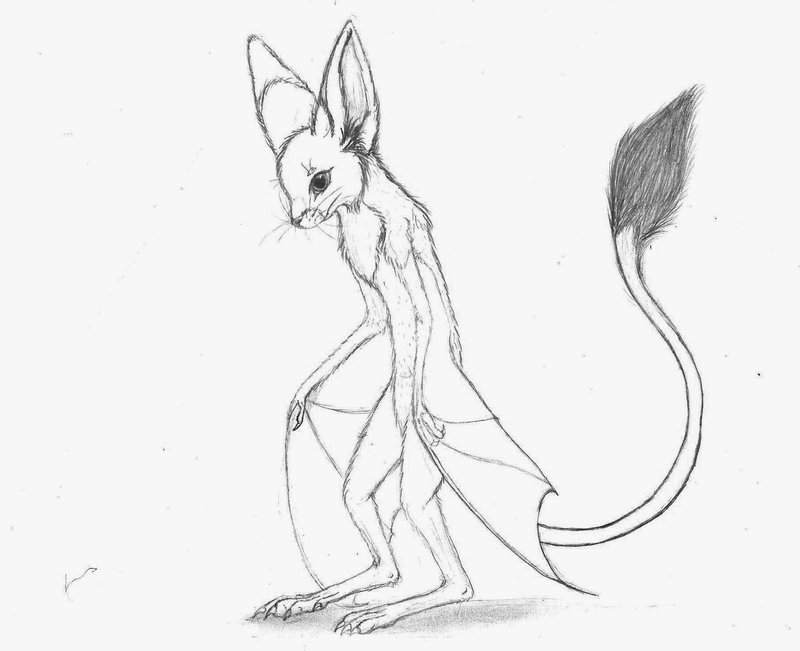 800x651 Kangaroo Bat By Pyroninja91