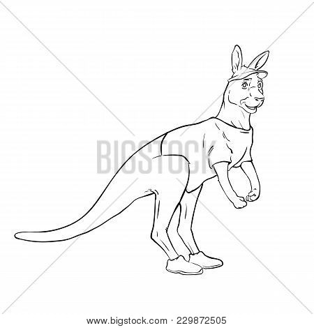 450x470 Kangaroo Images, Illustrations, Vectors