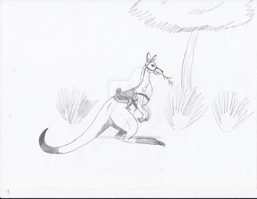 1024x794 Kangaroo Steed By Sparklet Rayne