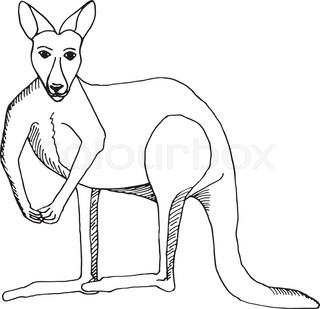 320x309 Australia Background With Kangaroo Stock Vector Colourbox