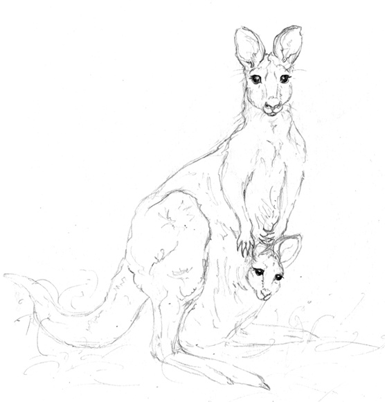 556x580 The World's Best Photos Of Joey And Pencil