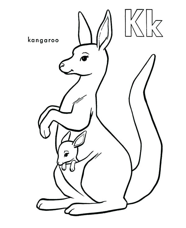 600x734 Coloring Pages Of Kangaroos Kangaroo Coloring Pages Red Kangaroo