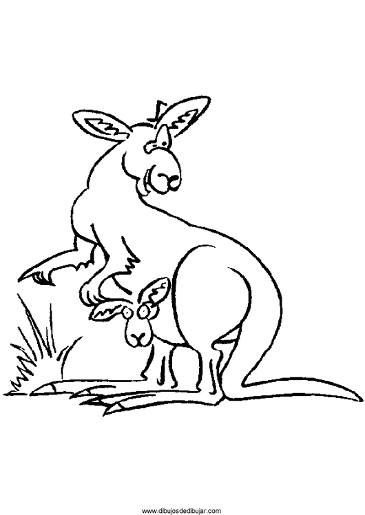 530x748 Drawings Of Kangaroos To Draw Coloreardibujos