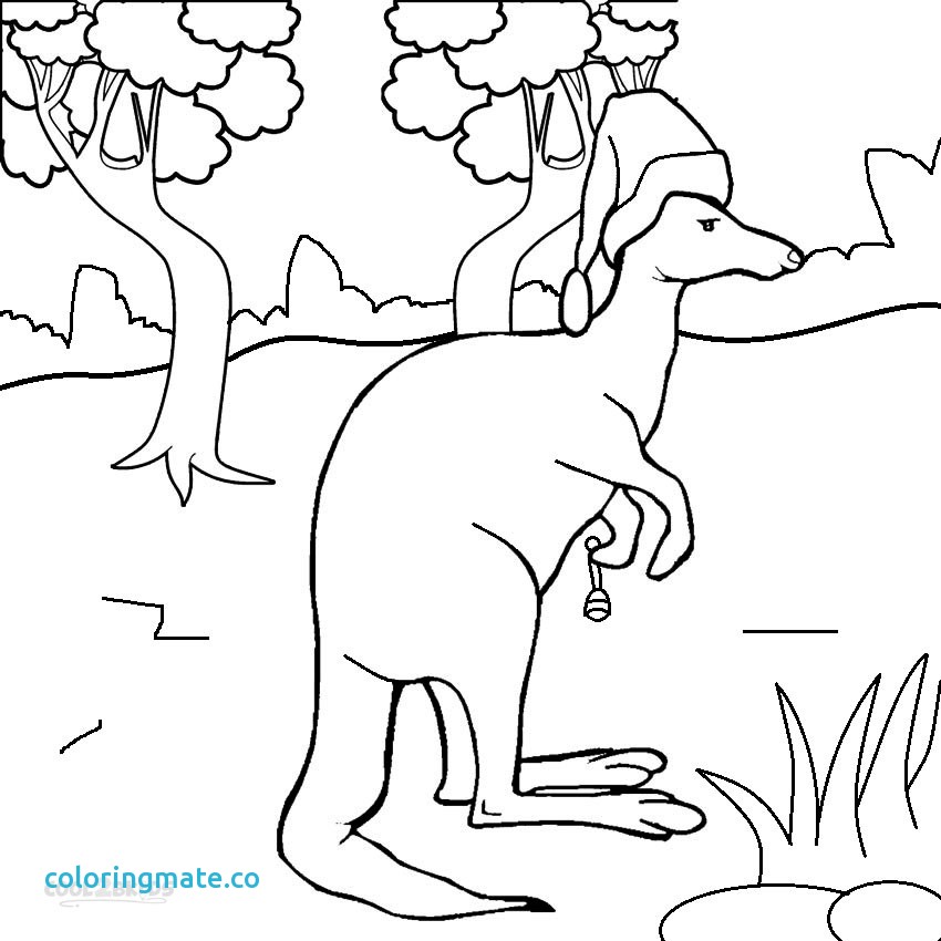 850x850 31 Kangaroo Coloring Page