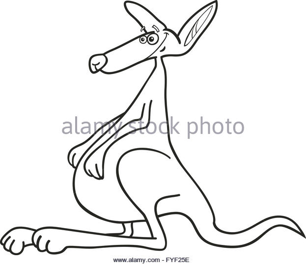 623x540 Funny Kangaroo Stock Photos Amp Funny Kangaroo Stock Images