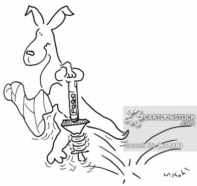 400x378 Kangaroo's Cartoons And Comics