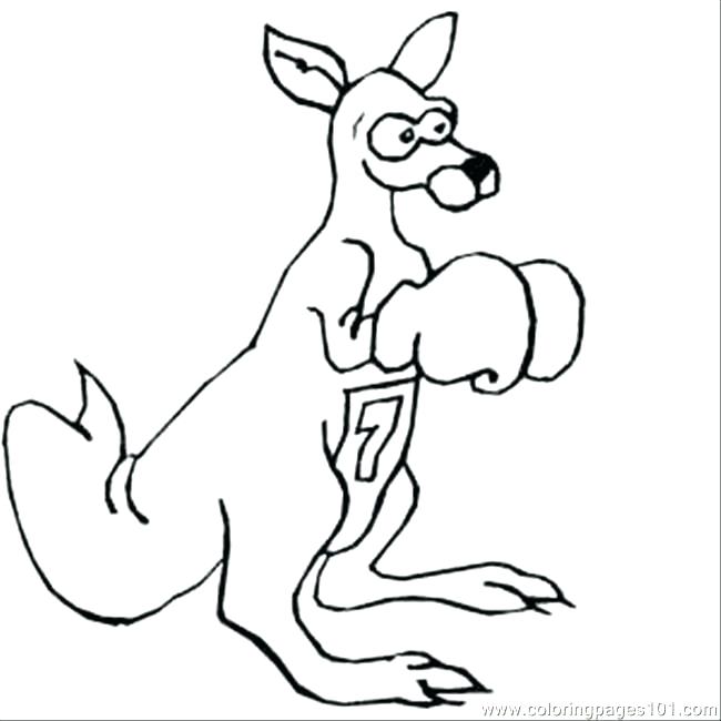 650x650 Kangaroo Color Page Info Baby Kangaroo Coloring Page Joandco.co