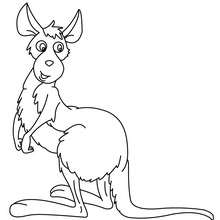 220x220 Kangaroo Coloring Pages