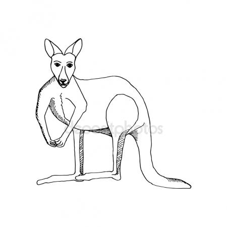 450x450 Kangaroo Tattoo Stock Vectors, Royalty Free Kangaroo Tattoo