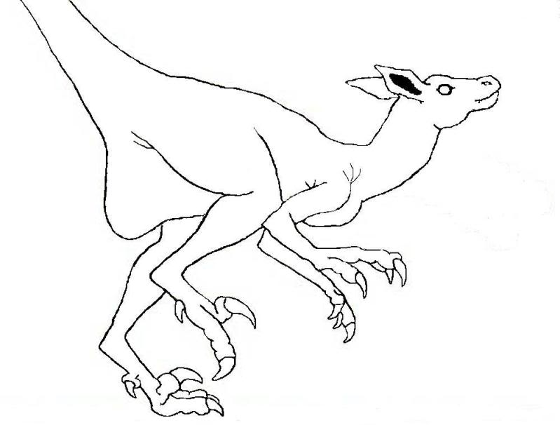 799x606 Kangaroos An A To Z Challenge Shenanigan