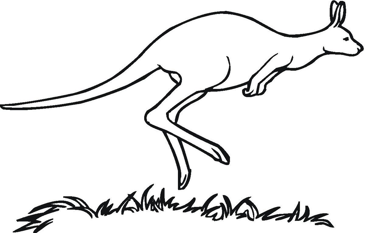 1200x768 Printable Kangaroo Coloring Pages With Letter K Animals Free Book