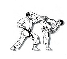 225x198 Karate Books Ebay