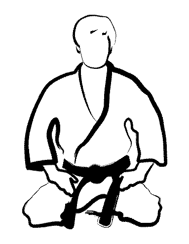 383x496 White Crane Traditional Karate