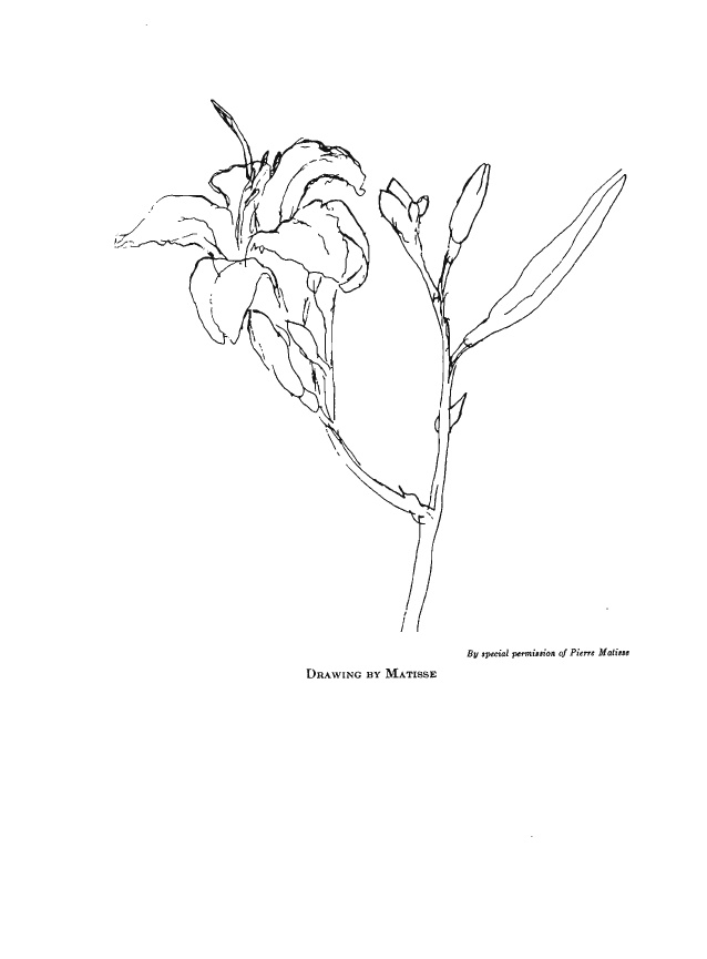 638x865 The Natural Way To Draw