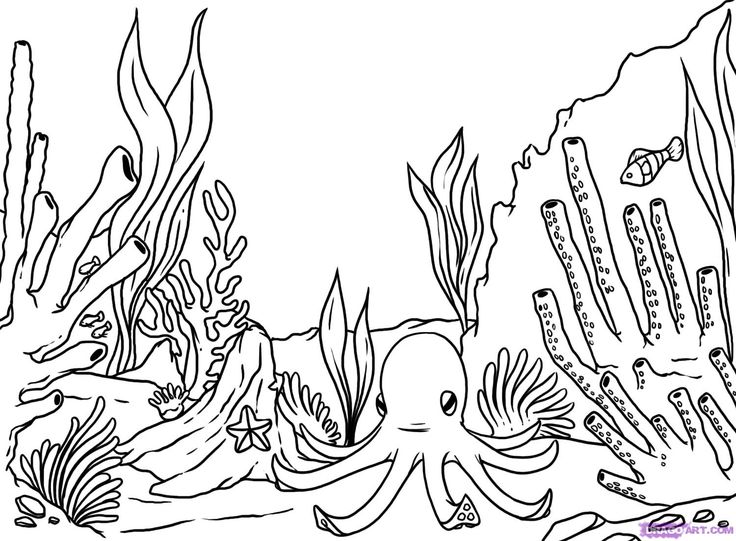 Kelp Forest Drawing at GetDrawings | Free download