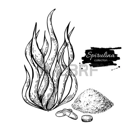 450x450 Seaweed Stock Photos. Royalty Free Business Images